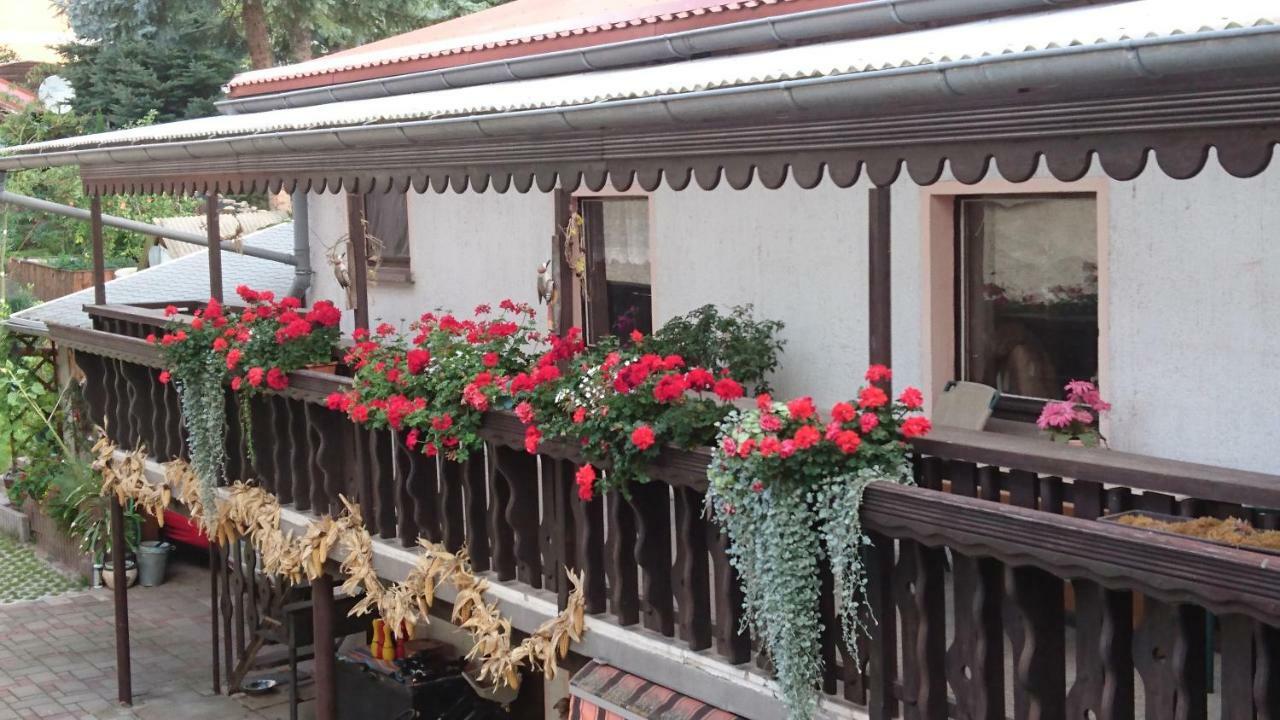 "Haus Ulla" Daire Bad Blankenburg Dış mekan fotoğraf