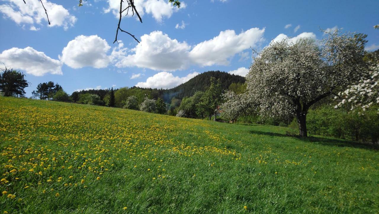 "Haus Ulla" Daire Bad Blankenburg Dış mekan fotoğraf